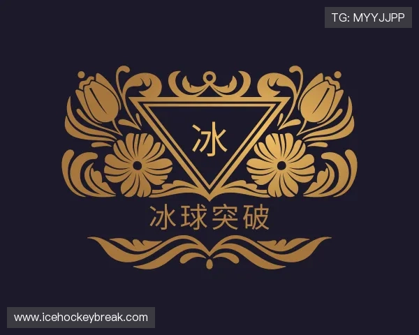 关于冰球突破